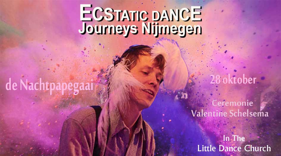ed-journey-nachtpapegaai-3